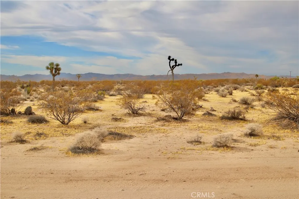 Cielito Drive Joshua Tree, CA 92252