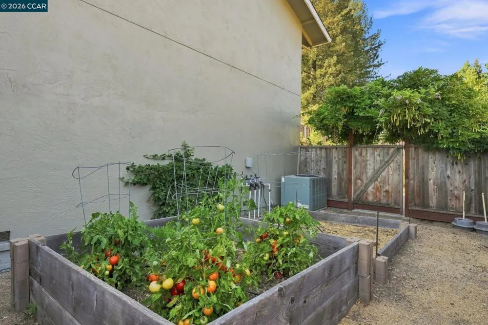 3960 Campolindo drive Moraga, CA 94556