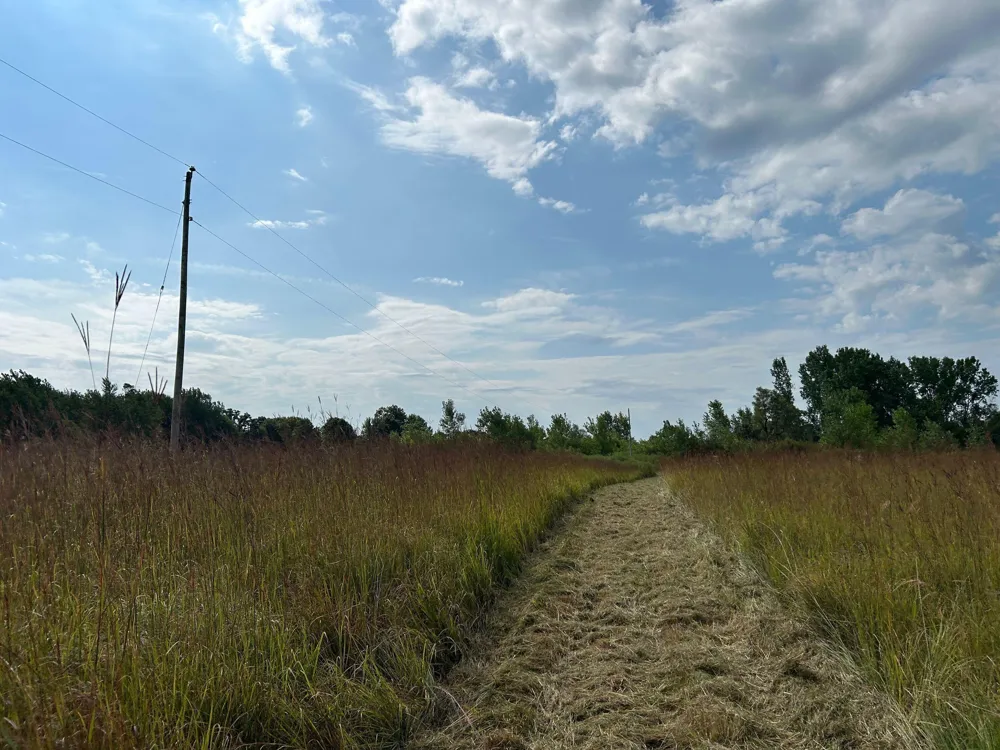 Church Road Hillsdale, MI 49242