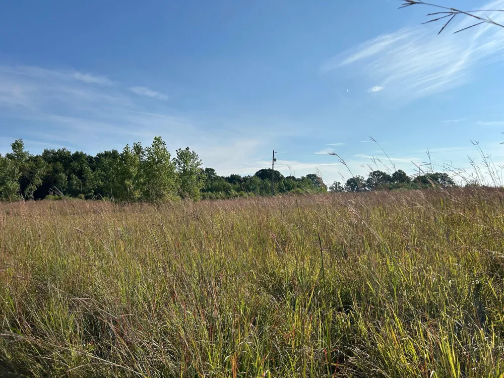 Church Road Hillsdale, MI 49242