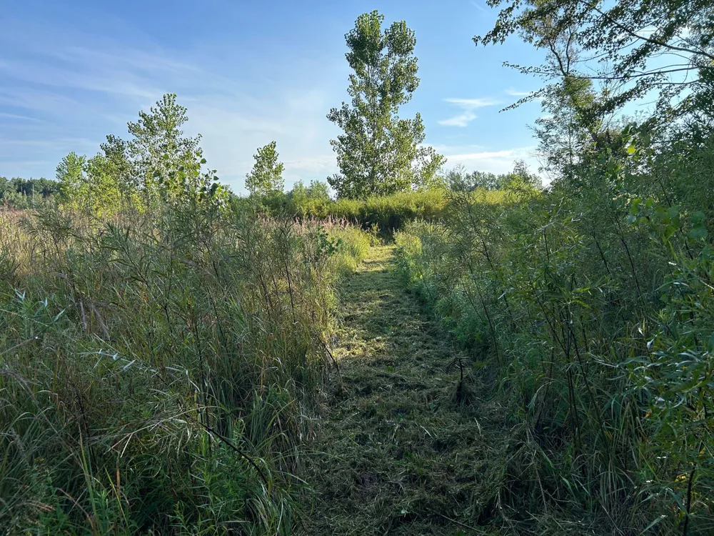 Church Road Hillsdale, MI 49242