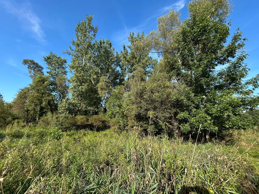 Church Road Hillsdale, MI 49242