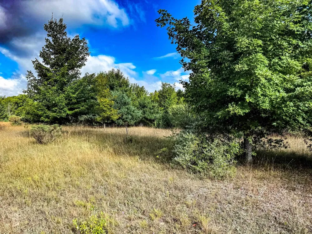 E Darga Road Kasson Township, MI 49621