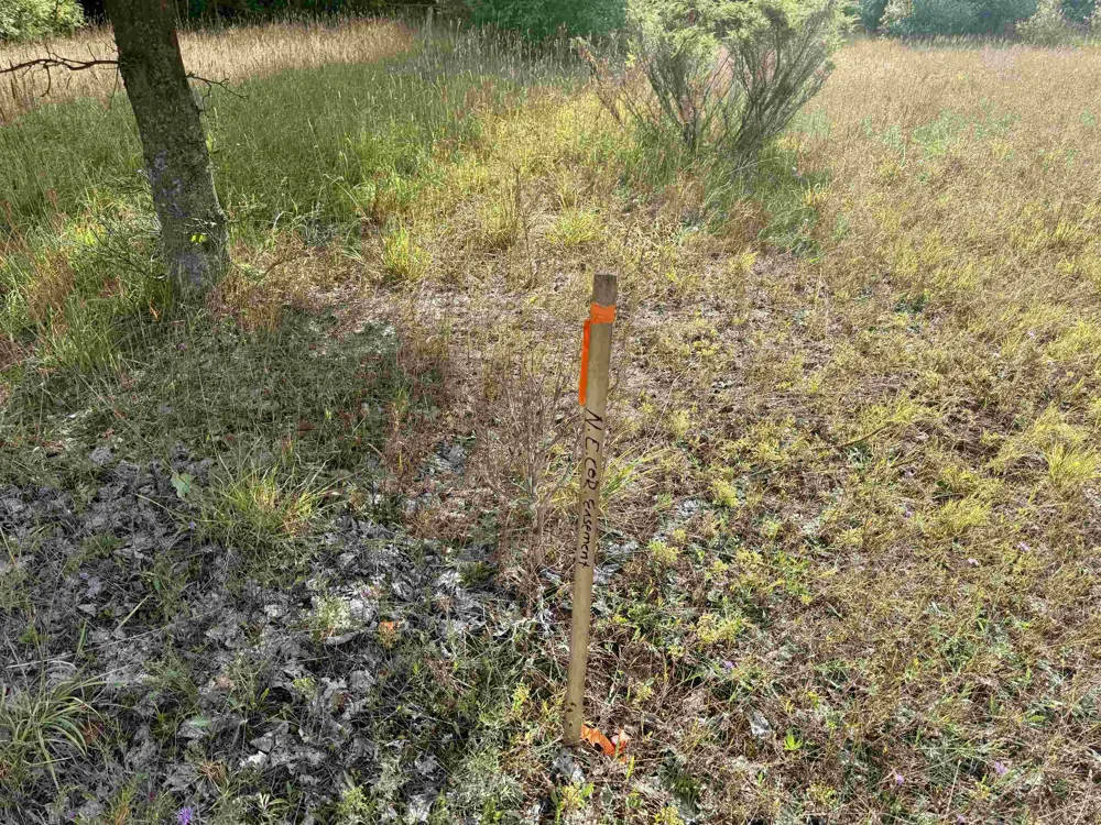 E Darga Road Kasson Township, MI 49621