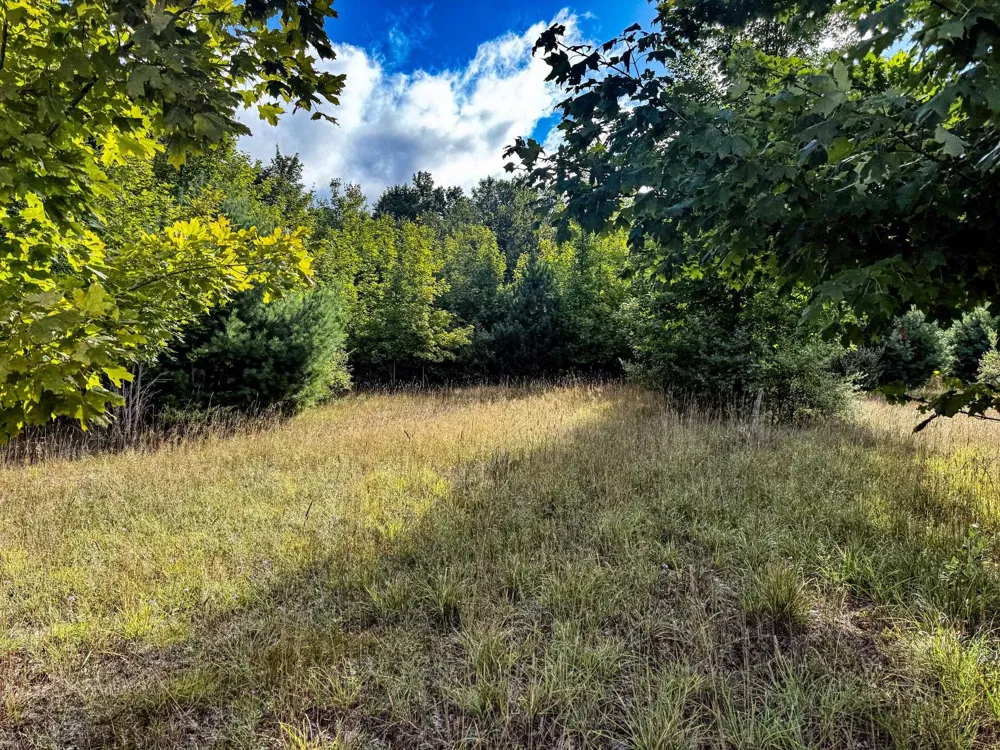 E Darga Road Kasson Township, MI 49621