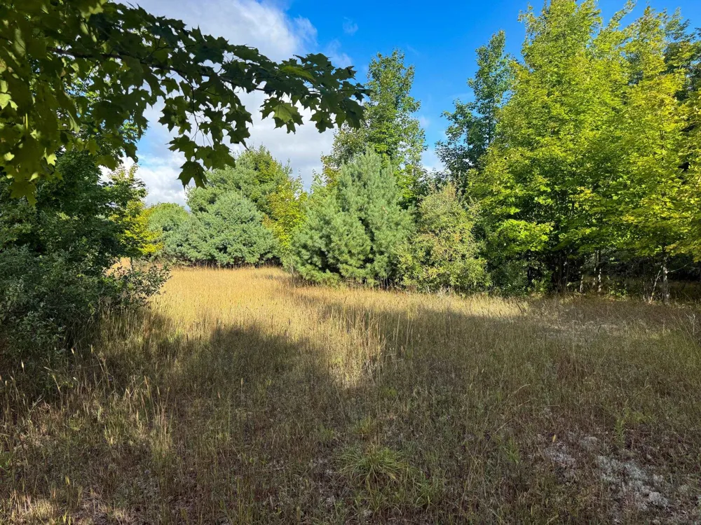 E Darga Road Kasson Township, MI 49621