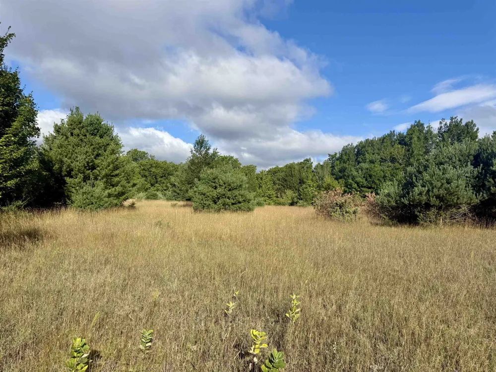 E Darga Road Kasson Township, MI 49621