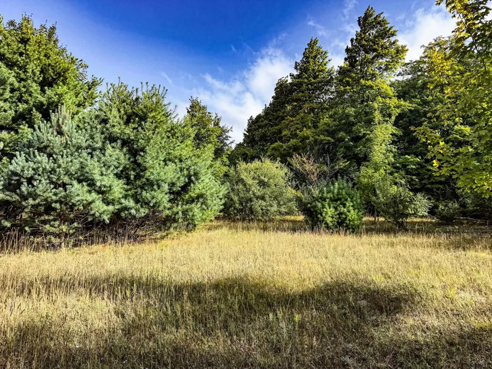 E Darga Road Kasson Township, MI 49621