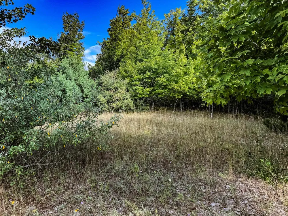 E Darga Road Kasson Township, MI 49621