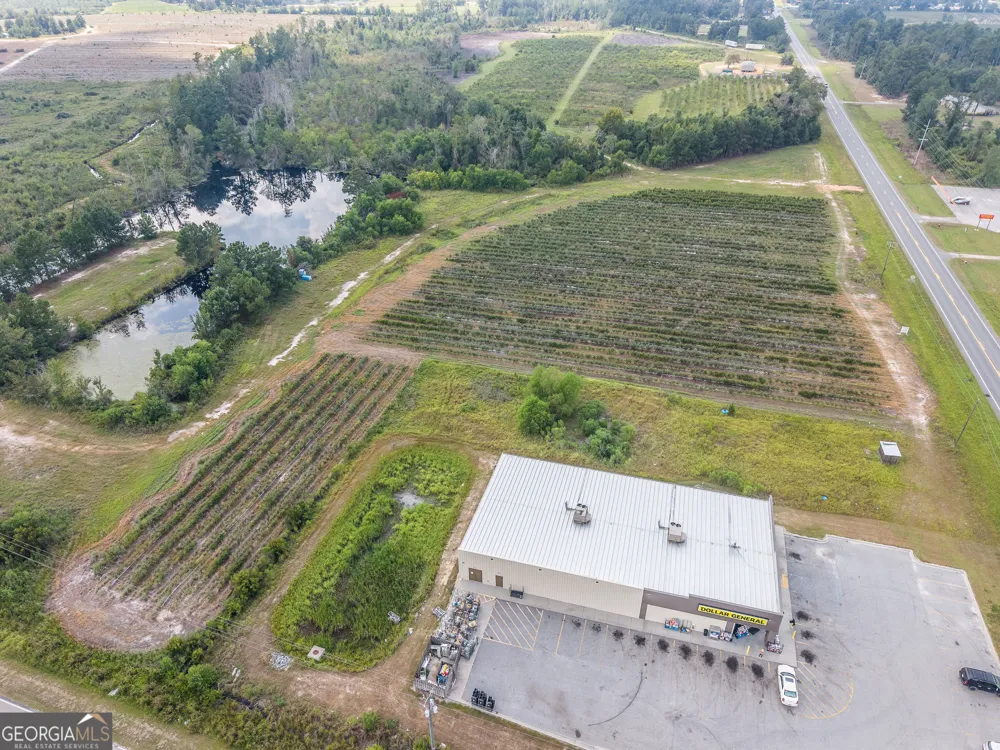 0 Highway 32 Alma, GA 31510