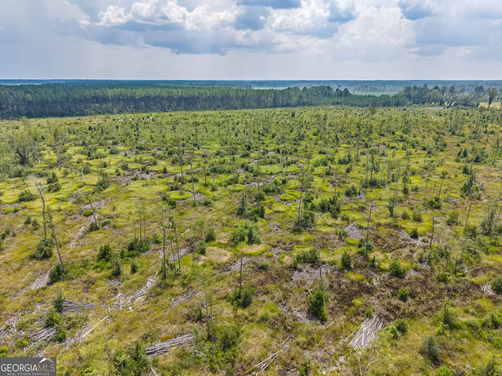 0 Highway 32 Alma, GA 31510