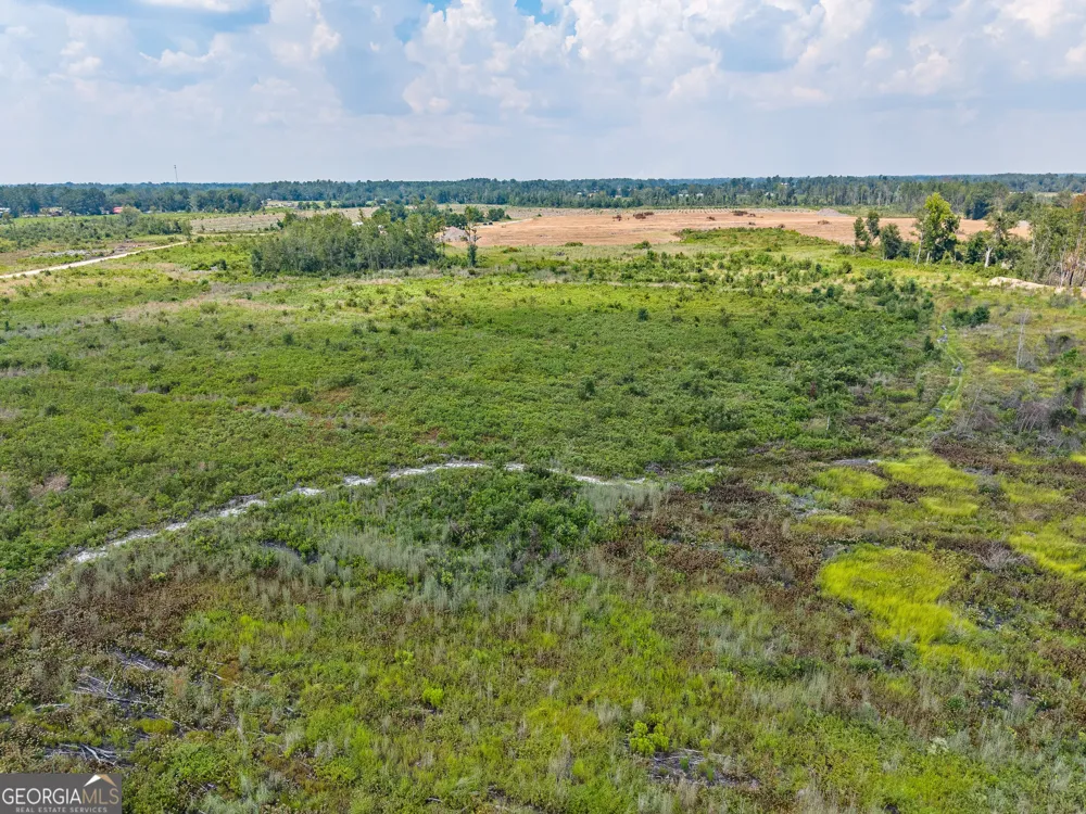0 Highway 32 Alma, GA 31510
