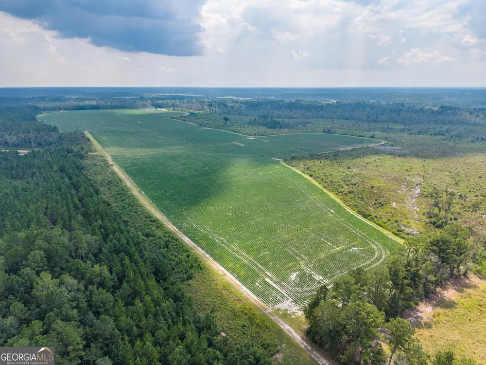 0 Highway 32 Alma, GA 31510