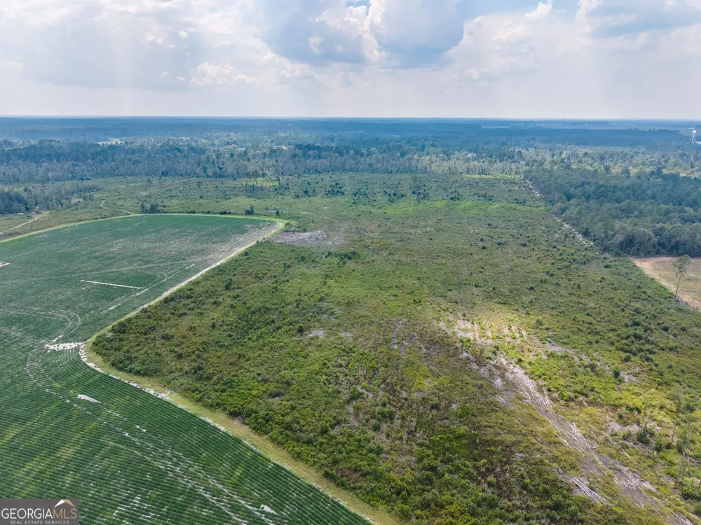 0 Highway 32 Alma, GA 31510