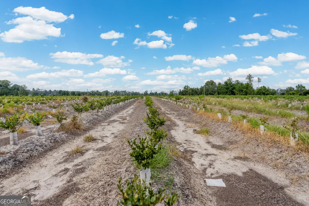0 Highway 32 Alma, GA 31510