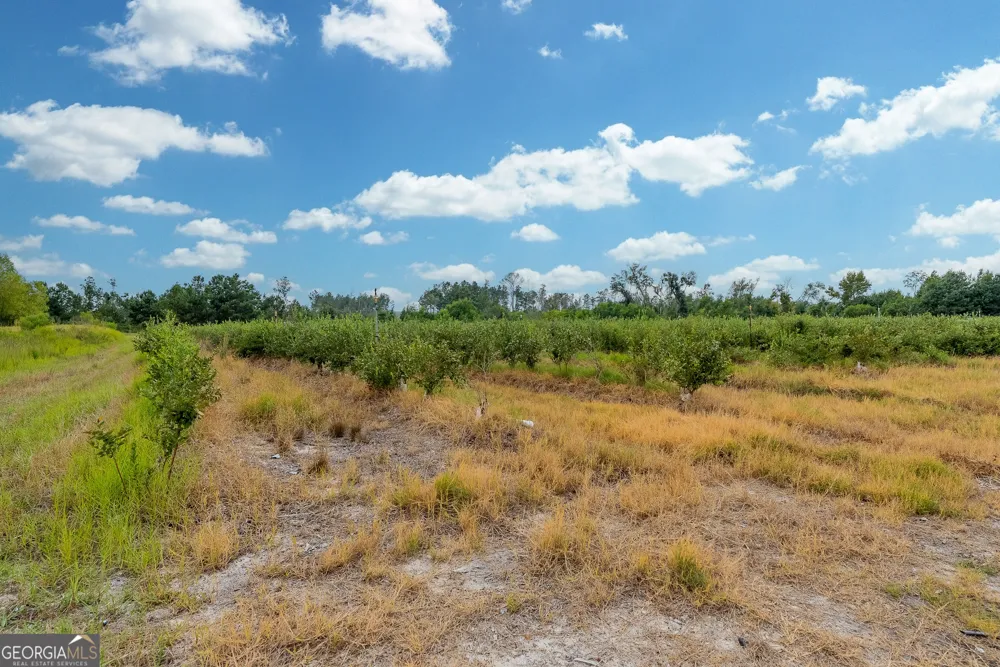 0 Highway 32 Alma, GA 31510