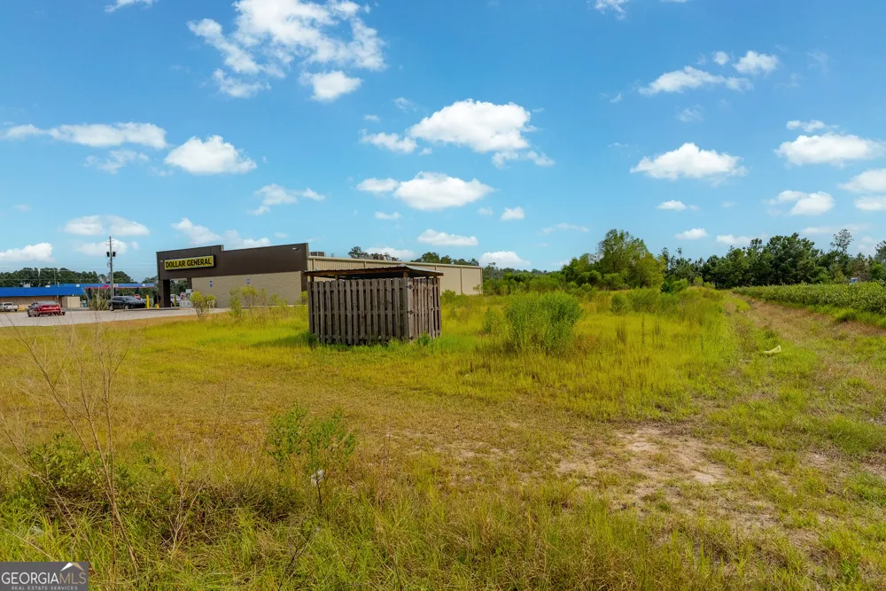 0 Highway 32 Alma, GA 31510