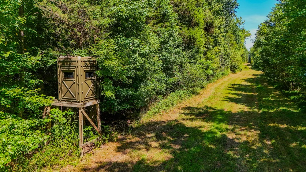 2195 Whiteoak Rd E Clifton, TN 38425