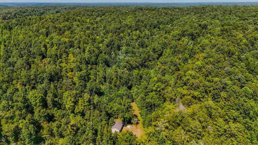 2195 Whiteoak Rd E Clifton, TN 38425