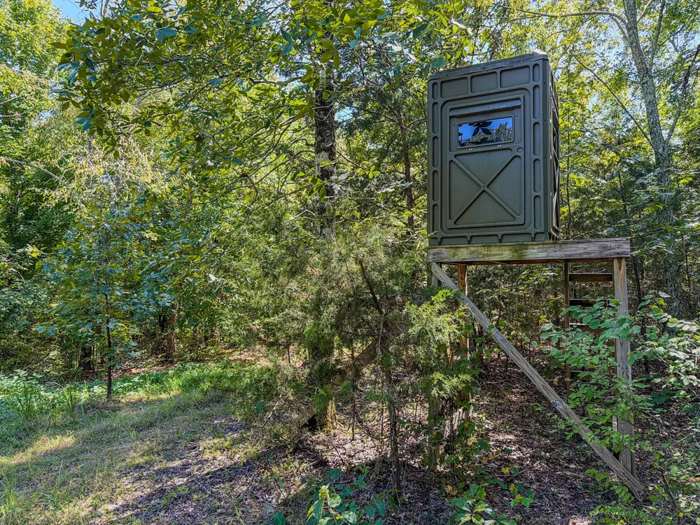 2195 Whiteoak Rd E Clifton, TN 38425
