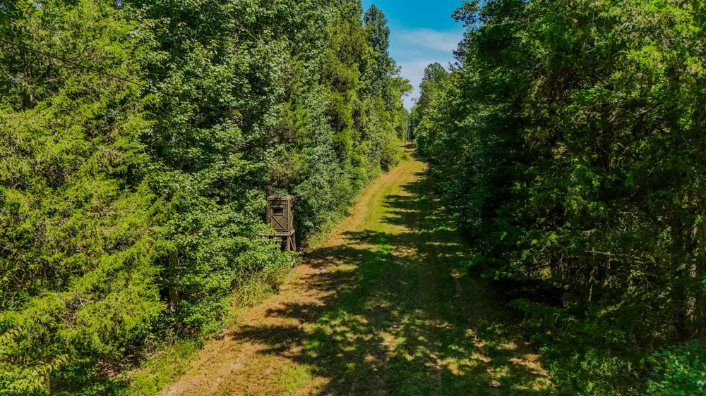 2195 Whiteoak Rd E Clifton, TN 38425
