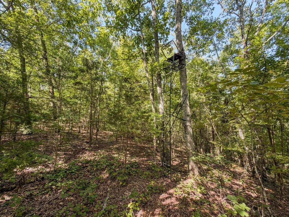 2195 Whiteoak Rd E Clifton, TN 38425