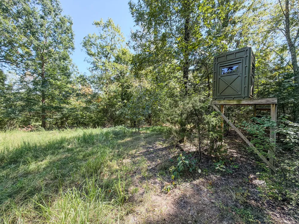 2195 Whiteoak Rd E Clifton, TN 38425