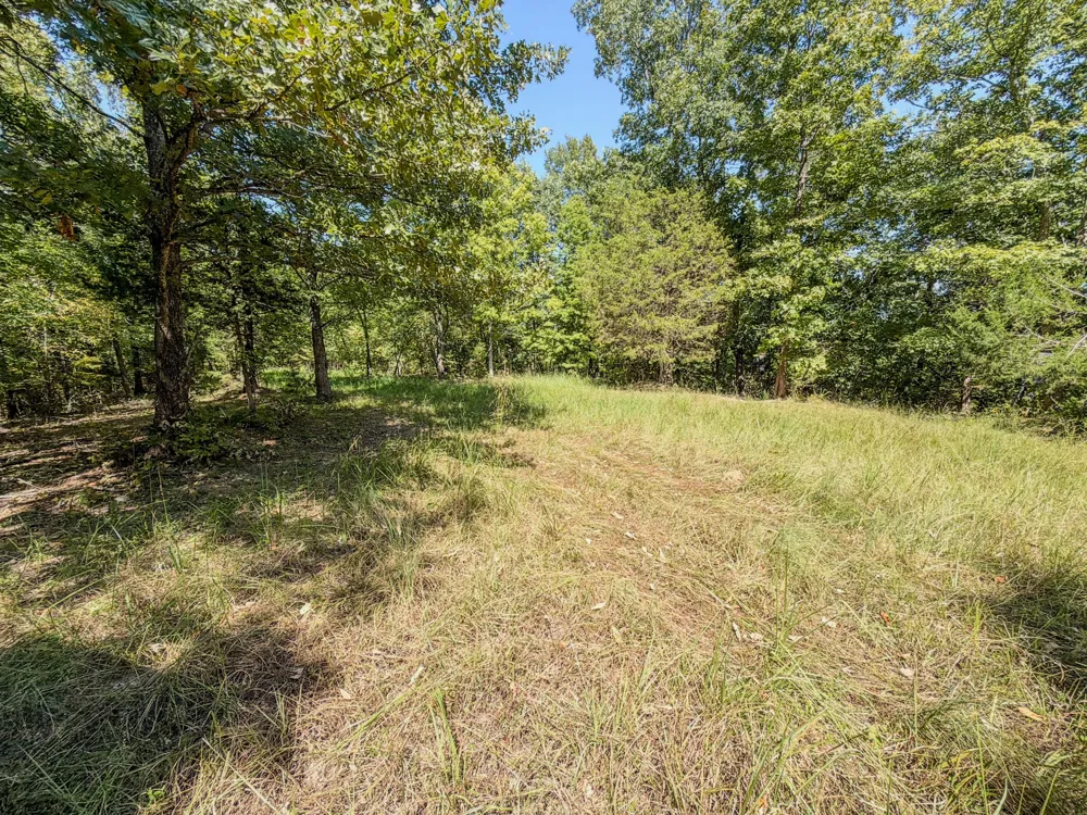 2195 Whiteoak Rd E Clifton, TN 38425