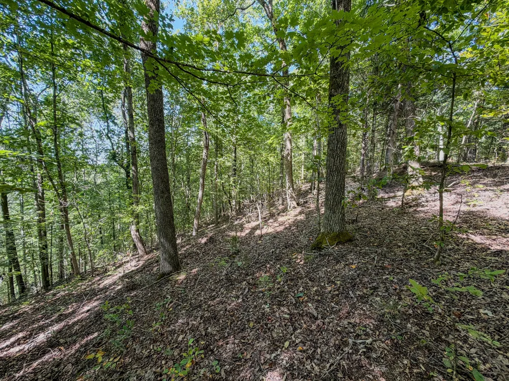 2195 Whiteoak Rd E Clifton, TN 38425