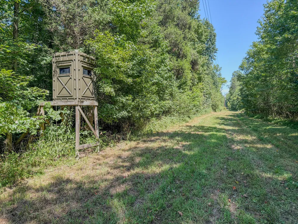 2195 Whiteoak Rd E Clifton, TN 38425