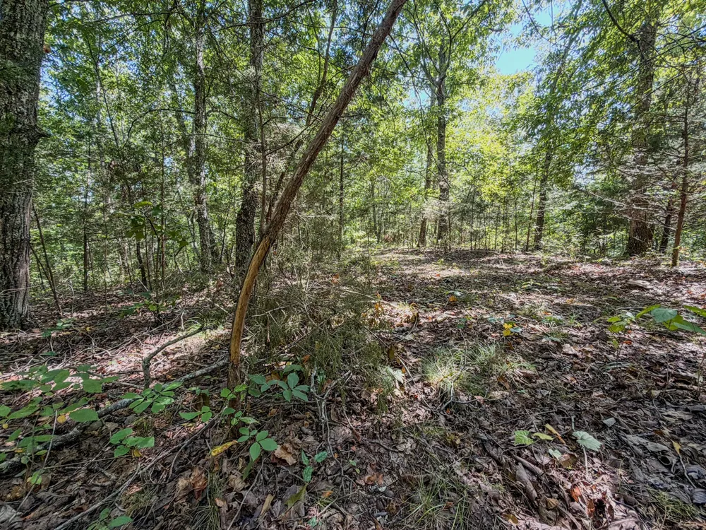 2195 Whiteoak Rd E Clifton, TN 38425