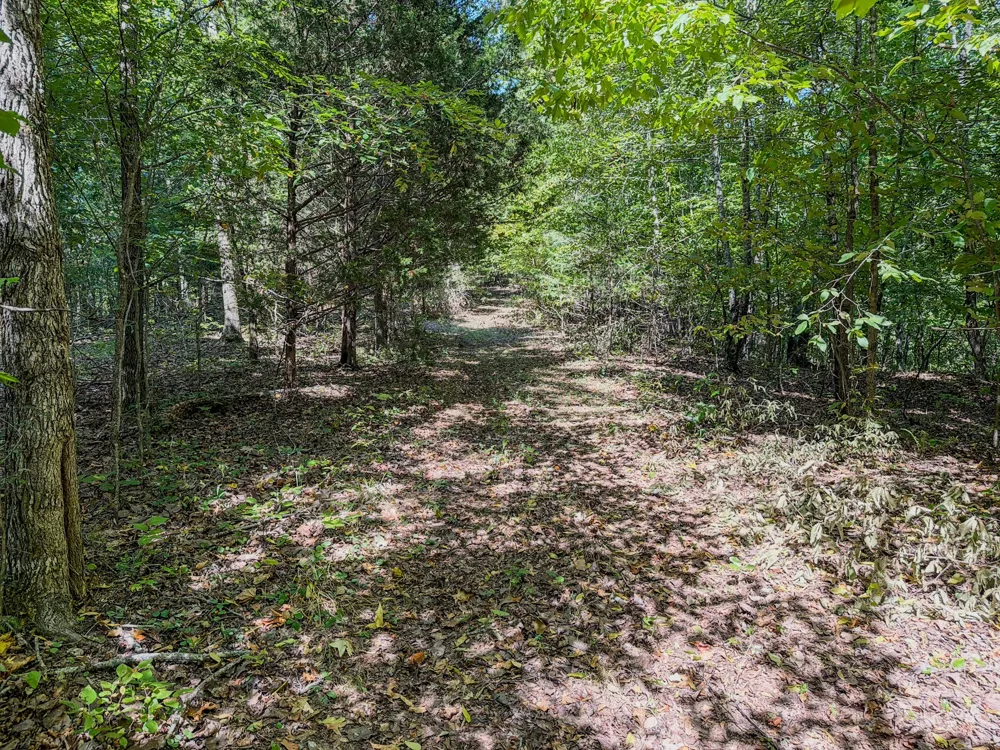 2195 Whiteoak Rd E Clifton, TN 38425