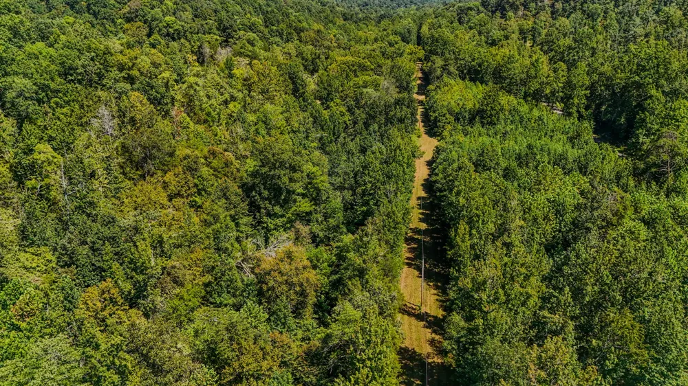 2195 Whiteoak Rd E Clifton, TN 38425