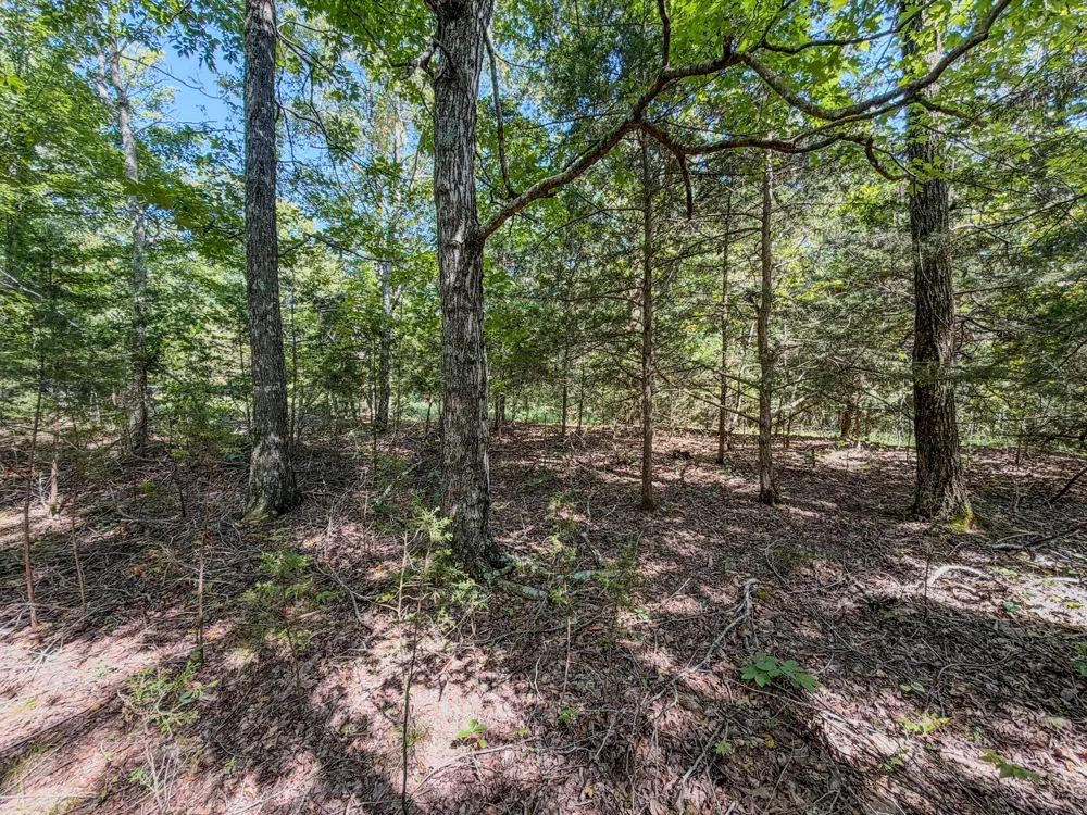 2195 Whiteoak Rd E Clifton, TN 38425