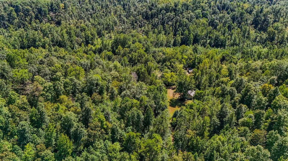 2195 Whiteoak Rd E Clifton, TN 38425