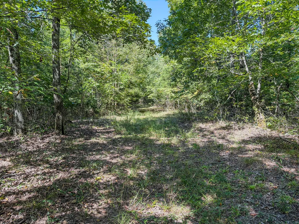 2195 Whiteoak Rd E Clifton, TN 38425