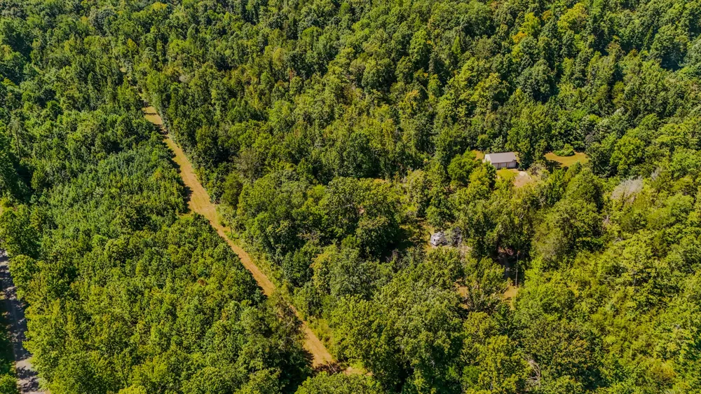 2195 Whiteoak Rd E Clifton, TN 38425