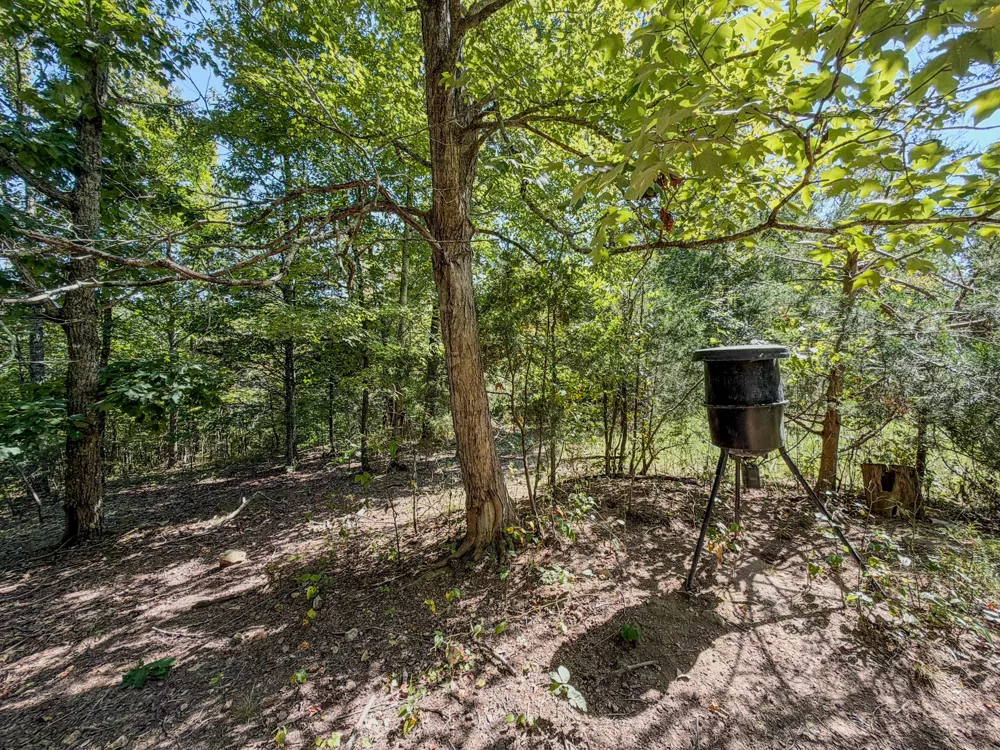 2195 Whiteoak Rd E Clifton, TN 38425