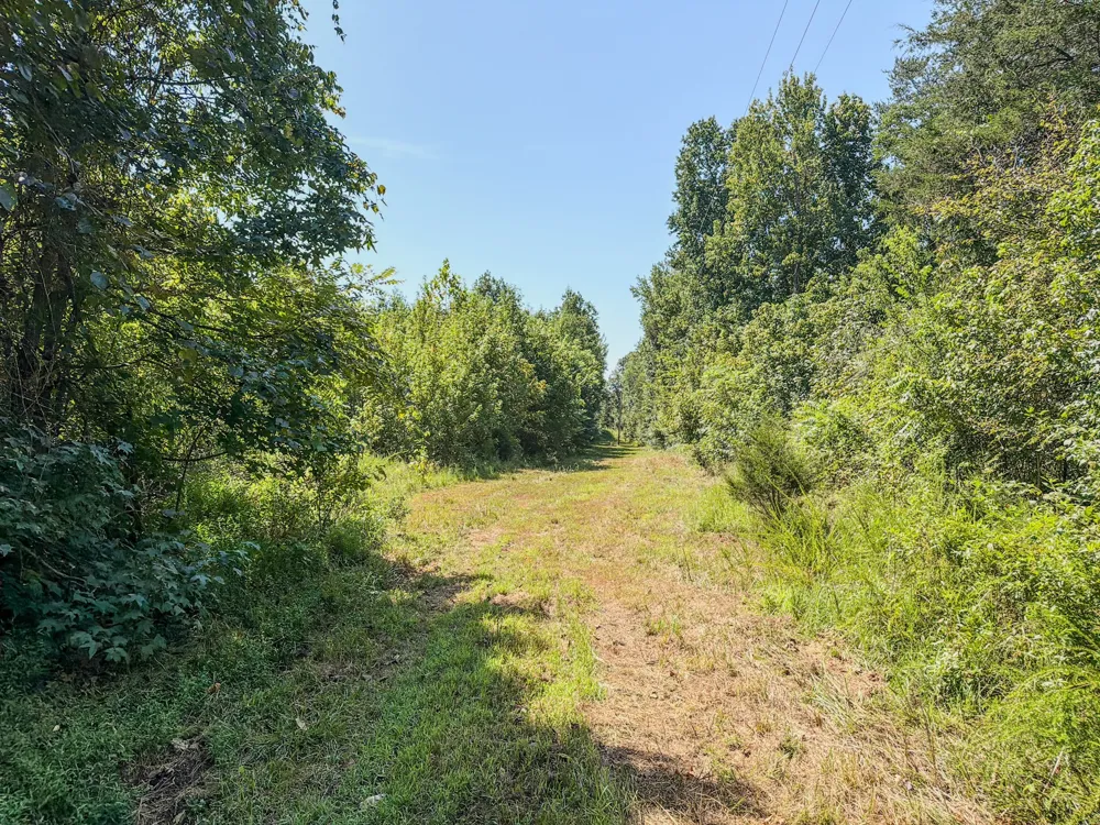 2195 Whiteoak Rd E Clifton, TN 38425