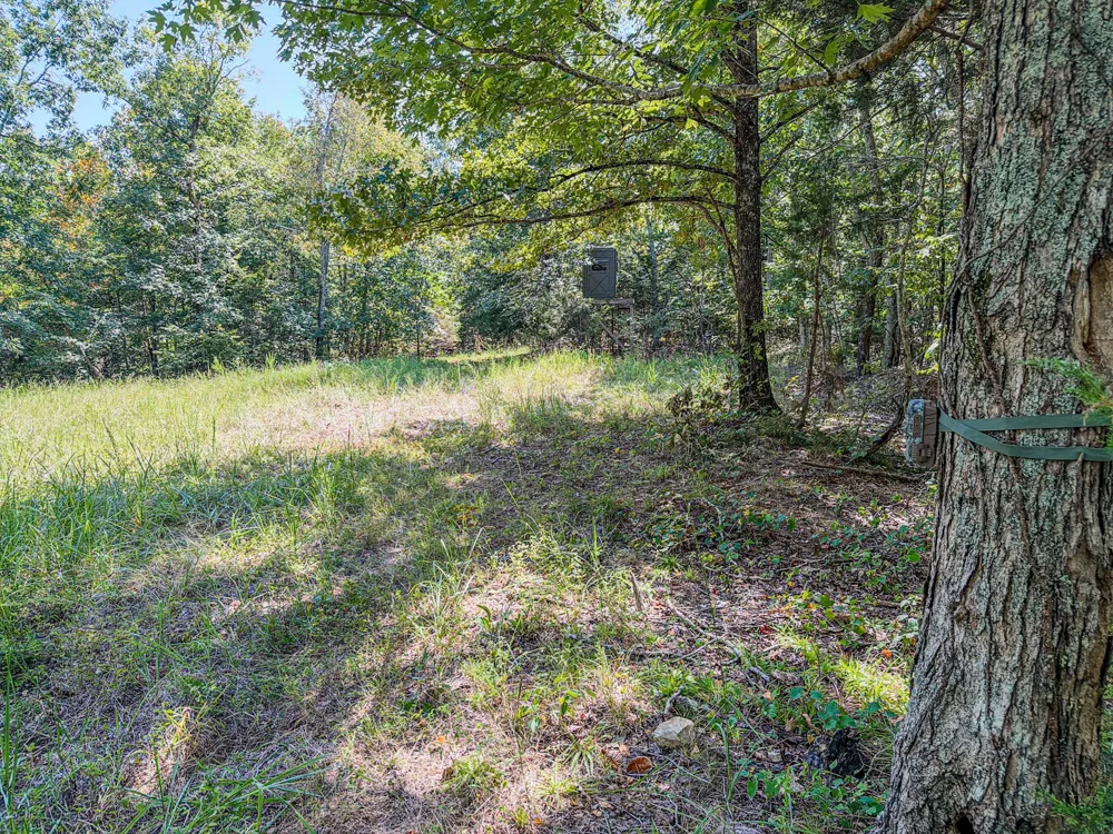 2195 Whiteoak Rd E Clifton, TN 38425