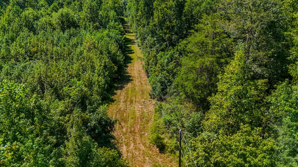 2195 Whiteoak Rd E Clifton, TN 38425