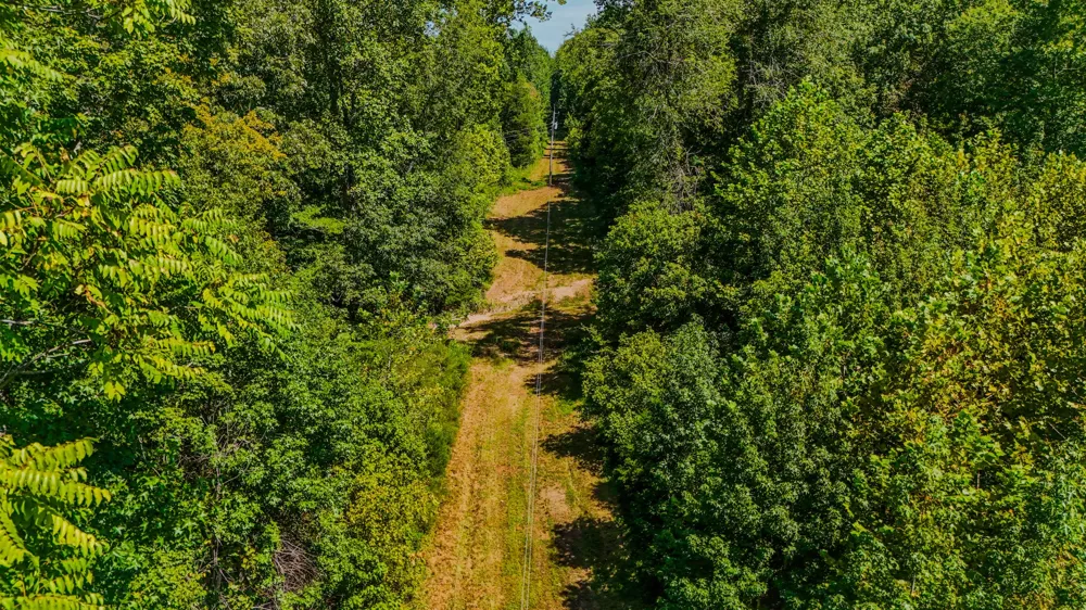 2195 Whiteoak Rd E Clifton, TN 38425