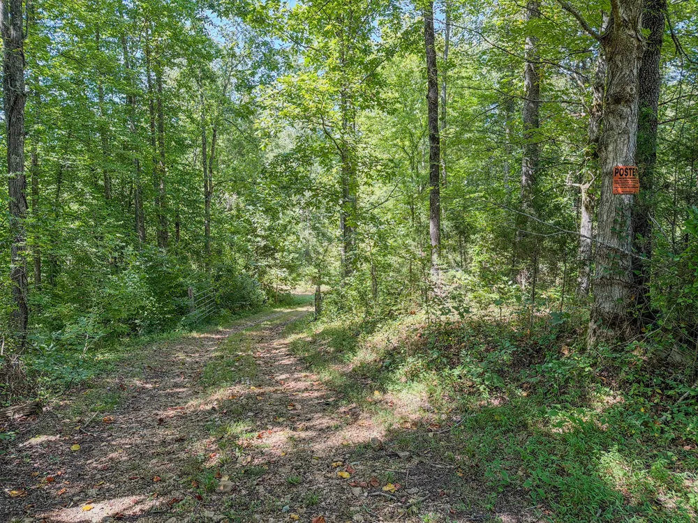2195 Whiteoak Rd E Clifton, TN 38425