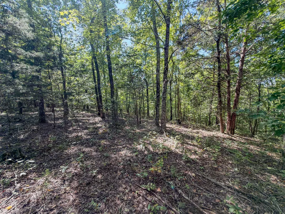 2195 Whiteoak Rd E Clifton, TN 38425