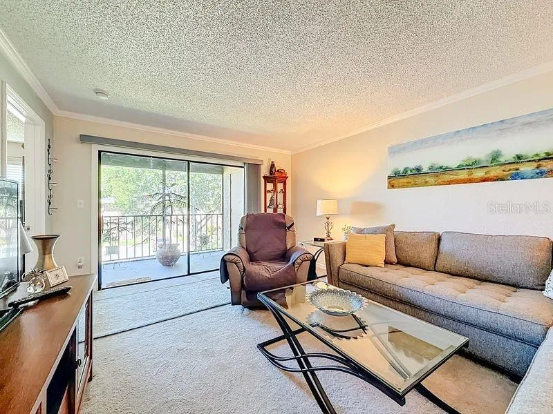 10199 SAILWINDS BOULEVARD S #201 Largo, FL 33773