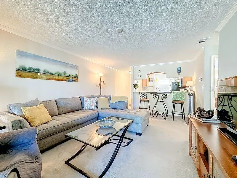 10199 SAILWINDS BOULEVARD S #201 Largo, FL 33773