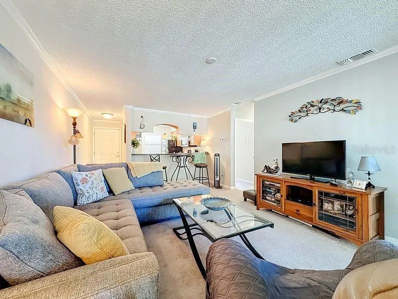 10199 SAILWINDS BOULEVARD S #201 Largo, FL 33773