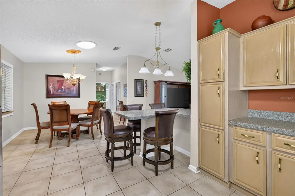 1230 GRANADA COURT The Villages, FL 32159