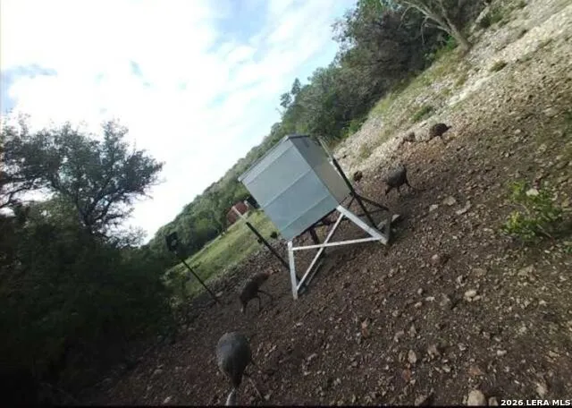 TBD SD 46071 Rocksprings, TX 78880
