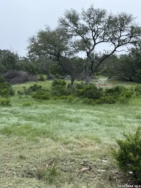 TBD SD 46071 Rocksprings, TX 78880